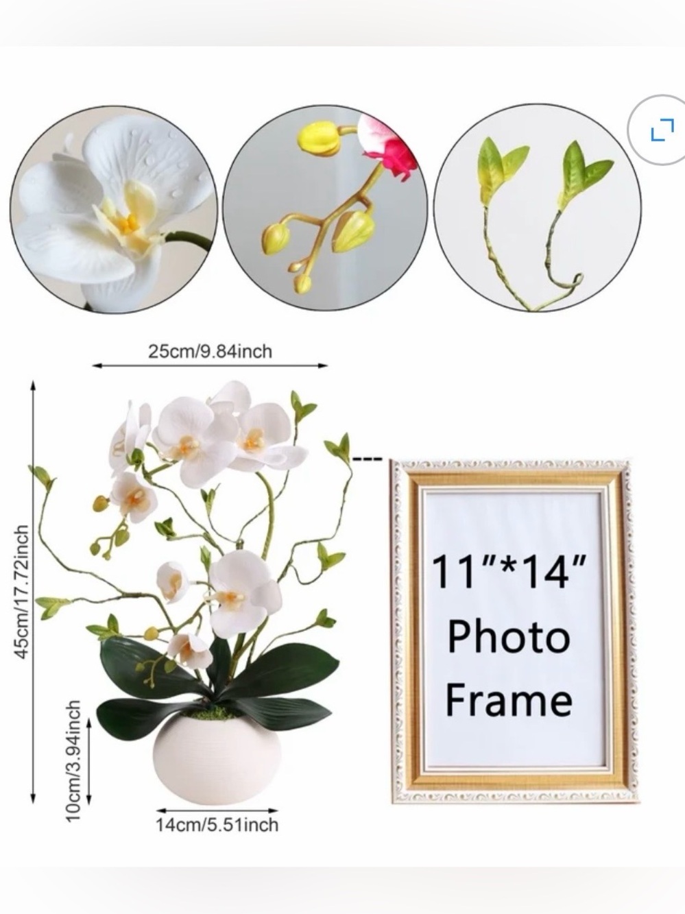 White Orchid Faux Plant in Cream Ceramic Pot